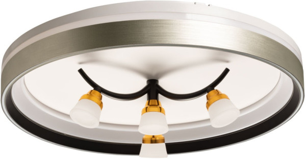 Потолочный светильник Норден 660014901 De City