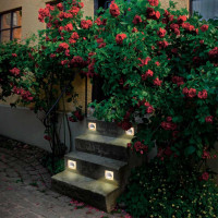 Уличный светодиодный светильник Novotech Street Scala 358095 Уличный светодиодный светильник Novotech Street Scala 358095