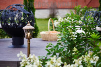 Уличный светильник Elektrostandard Virgo F черное золото a031929