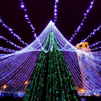 Гирлянда CLASSIC 025802 Ardecoled