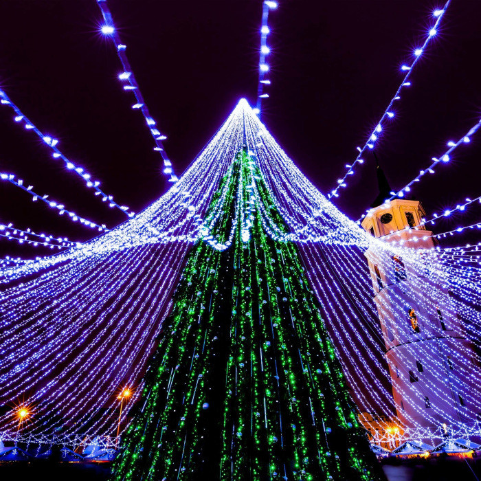 Гирлянда CLASSIC 025802 Ardecoled