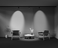 Трековый светильник Lens TR217-2-15W3K-B Maytoni