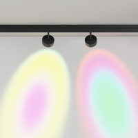 Трековый светильник Lens TR217-2-15W3K-B Maytoni