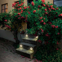 Уличный светодиодный светильник Novotech Street Scala 358094 Уличный светодиодный светильник Novotech Street Scala 358094