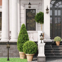 Уличный светильник Odeon Light Nature Sation 4045/1C Уличный светильник Odeon Light Nature Sation 4045/1C