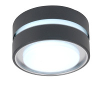 Потолочный светильник уличный 3351S Gr Oasis Light Потолочный светильник уличный 3351S Gr Oasis Light