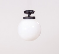 Потолочный светильник уличный GLOBO S 88205SA Bl Oasis Light