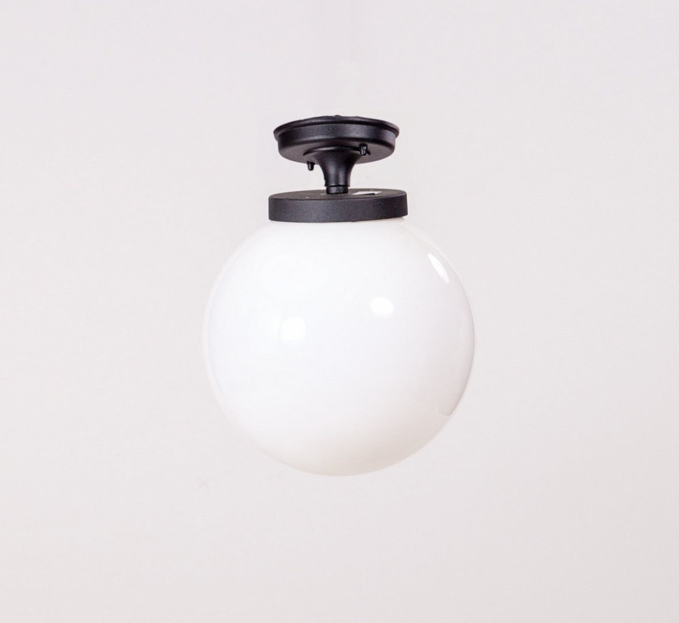 Потолочный светильник уличный GLOBO S 88205SA Bl Oasis Light
