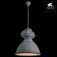 Подвесной светильник Warhol A5014SP-1BG Arte Lamp