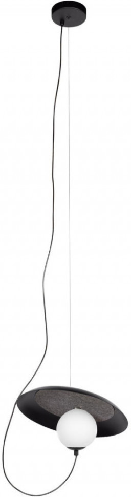 Подвесной светильник Wonders 10237P Black Loft It