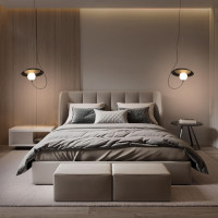 Подвесной светильник Wonders 10237P Black Loft It