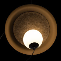 Подвесной светильник Wonders 10237P Black Loft It