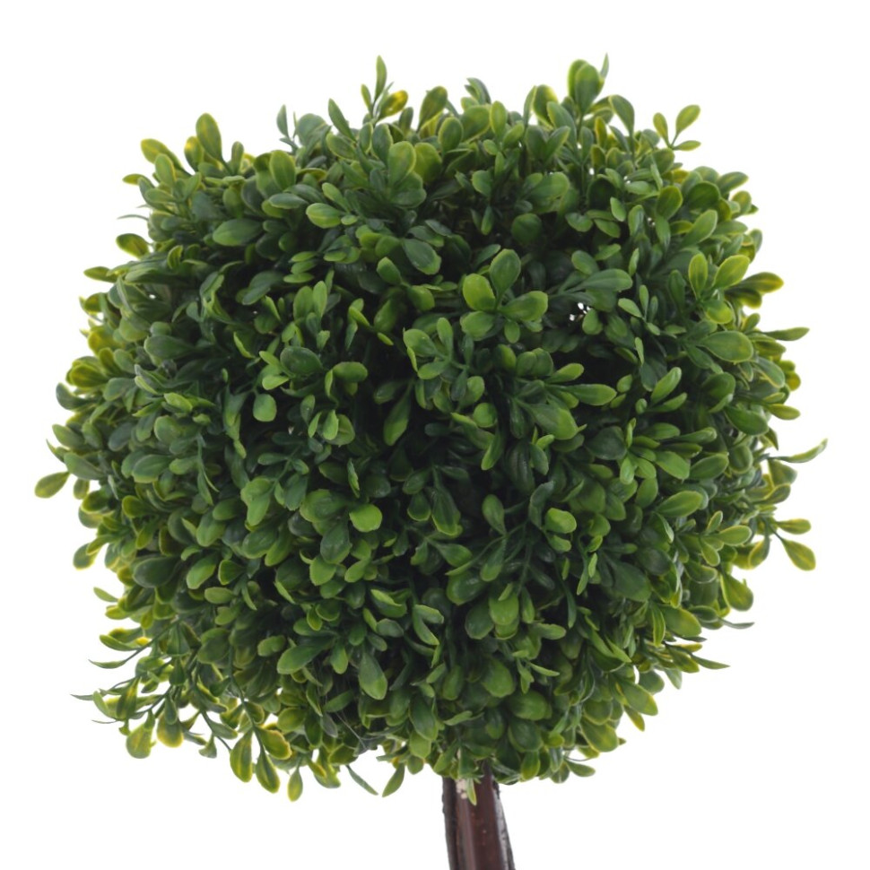 Цветочная композиция "Самшит", L27 W27 H55 см