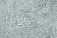 Полотенце "Лирика" 50*90 бирюзовое