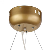 Подвесная люстра ST Luce Riccardo SL411.233.45 Подвесная люстра ST Luce Riccardo SL411.233.45