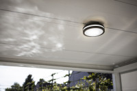 Потолочный светильник уличный SIDNEY 3362 Gr Oasis Light