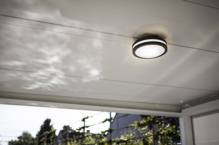 Потолочный светильник уличный SIDNEY 3362 Gr Oasis Light