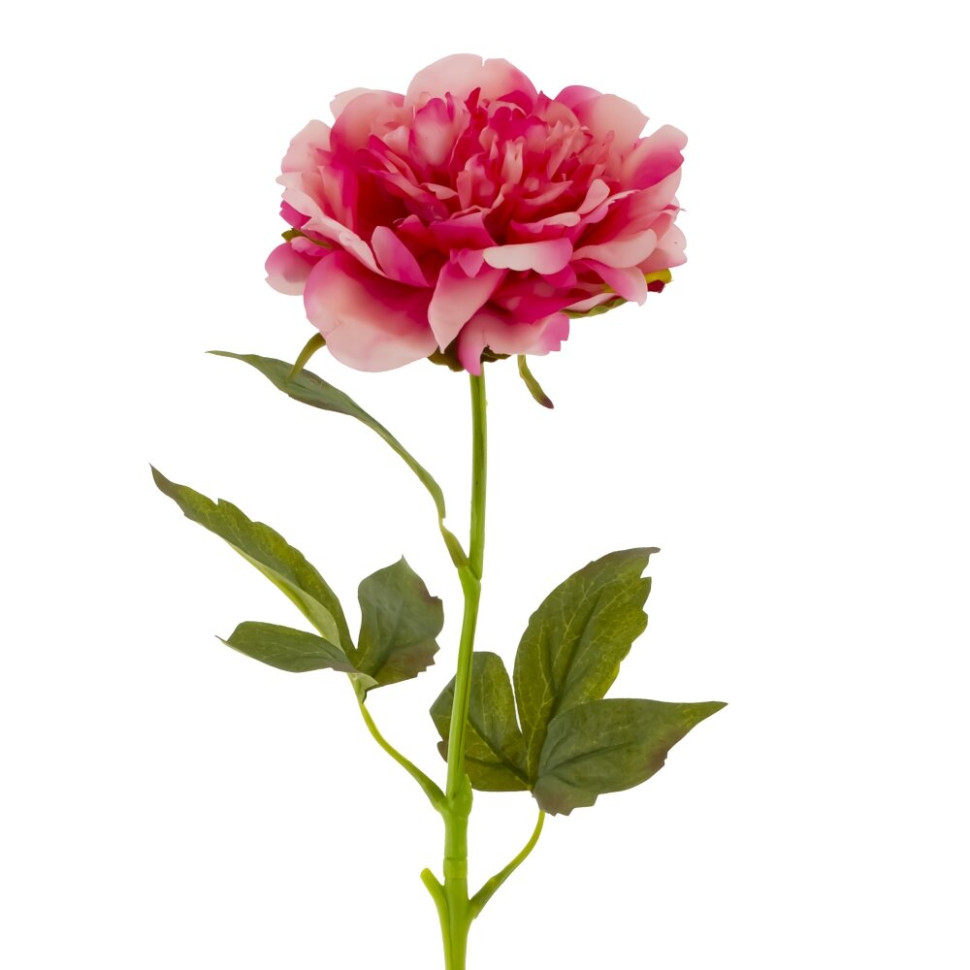 Цветок искусственный "Пион" (Real Touch), L12 W12 H56 см