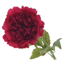 Цветок искусственный "Пион" (Real Touch), L12 W12 H56 см