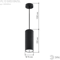 Подвесной светильник PL12 GX53 BK/SL ЭРА Подвесной светильник PL12 GX53 BK/SL ЭРА