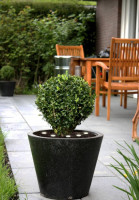 Грунтовый светильник SPINETOLI 2 900117 Eglo