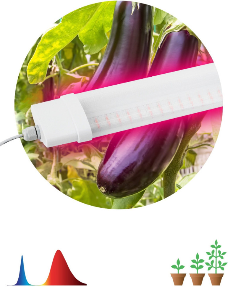 Светильник для растений  FITO-36W-RB-N ЭРА