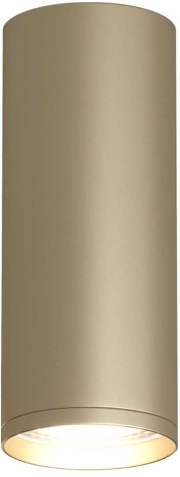 Точечный светильник TUBE DK2051-SG Denkirs