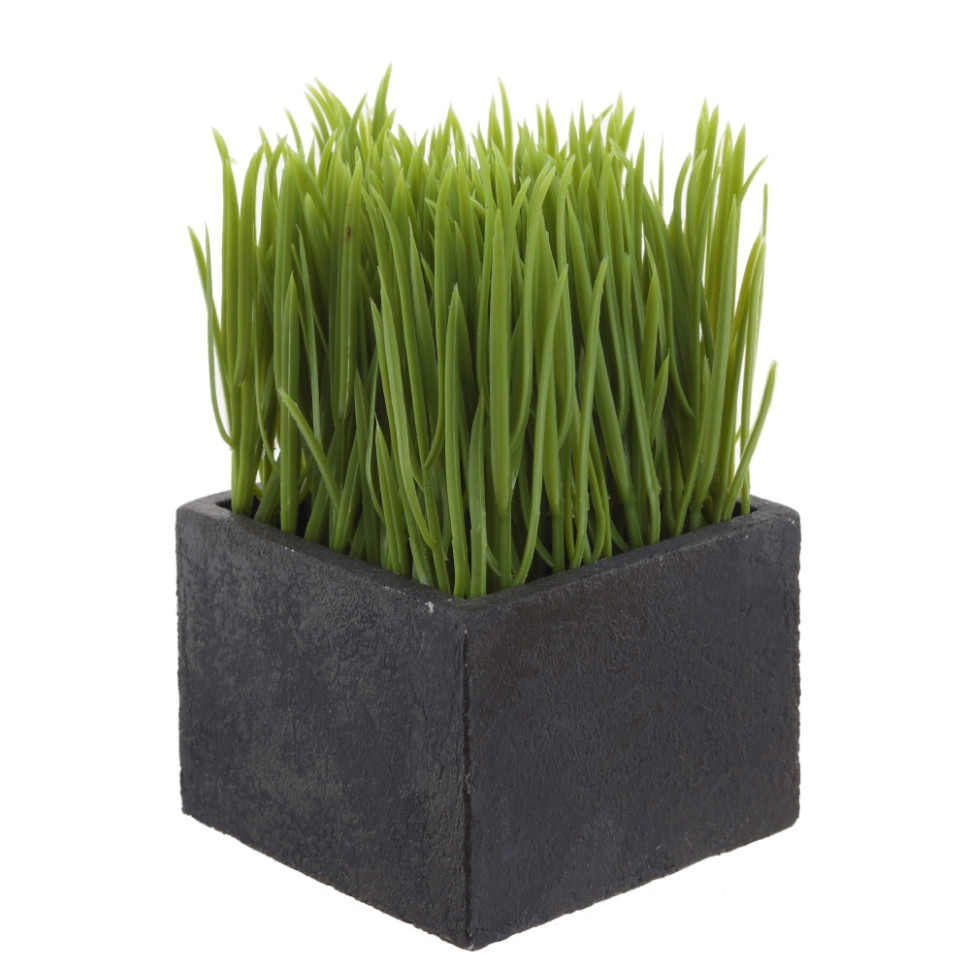 Цветочная композиция "Осока", L10 W10 H16 см