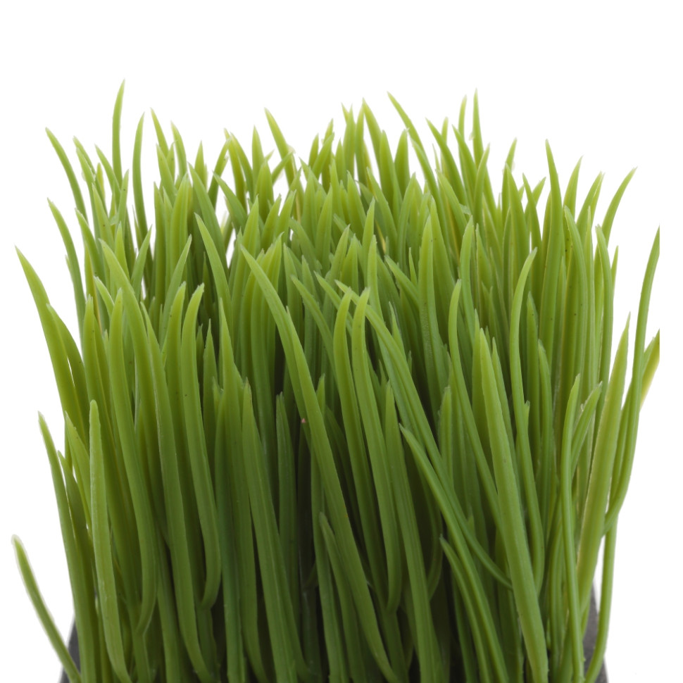 Цветочная композиция "Осока", L10 W10 H16 см