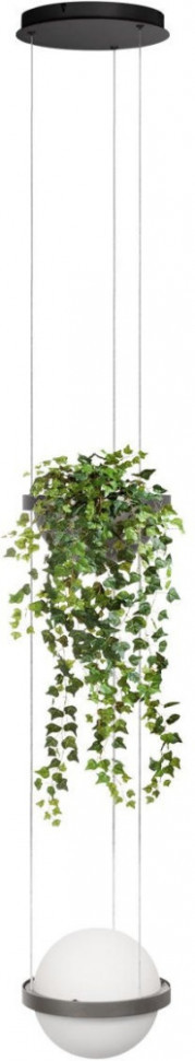 Подвесной светильник Jardin 10121/1P Dark grey Loft It