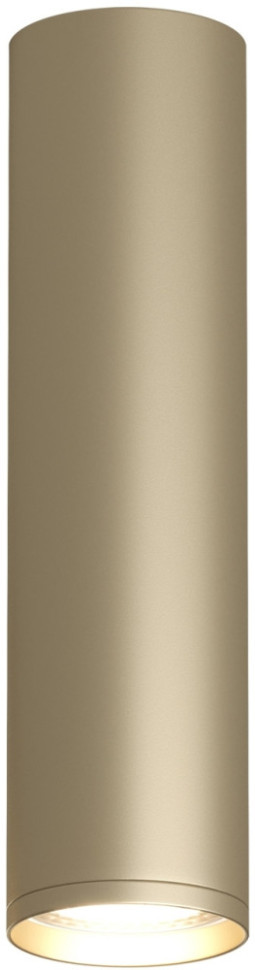 Точечный светильник TUBE DK2052-SG Denkirs