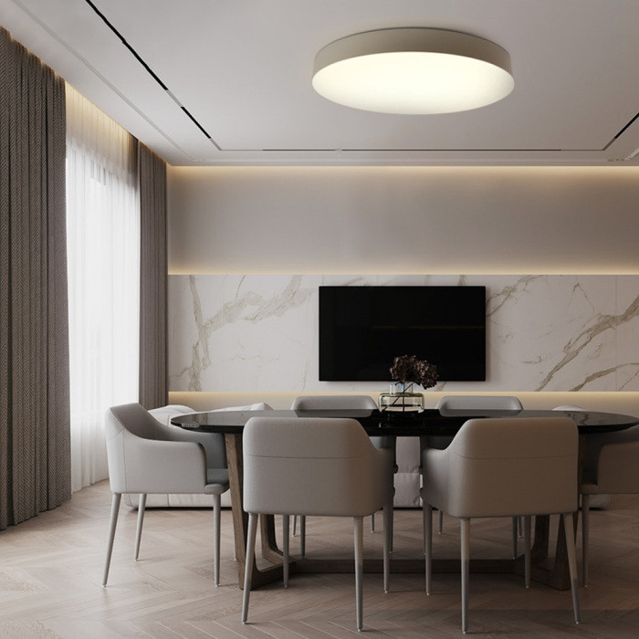 Потолочный светильник AL6200 48069 Feron