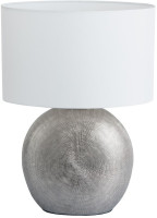 Интерьерная настольная лампа Marriot A5144LT-1SI Arte Lamp