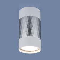 Точечный светильник Mizar DLN110 GU10 Elektrostandard