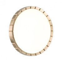 Настенно-потолочный светодиодный светильник Sonex Pale Atabi Gold 7648/CL