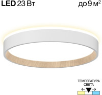 Настенно-потолочный светильник Etalon CL750240 Citilux