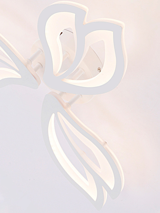 Потолочная люстра Fortuna LED LAMPS 81107/2C Natali Kovaltseva