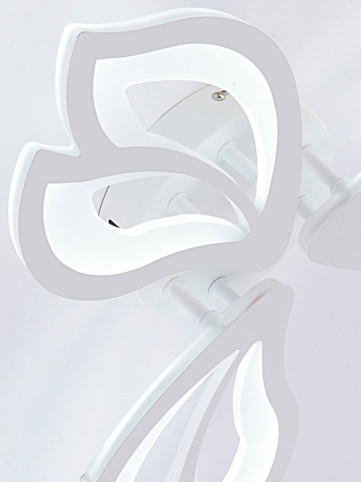 Потолочная люстра Fortuna LED LAMPS 81107/2C Natali Kovaltseva