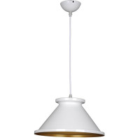 Подвесной светильник  PNL.005.300.04 Image