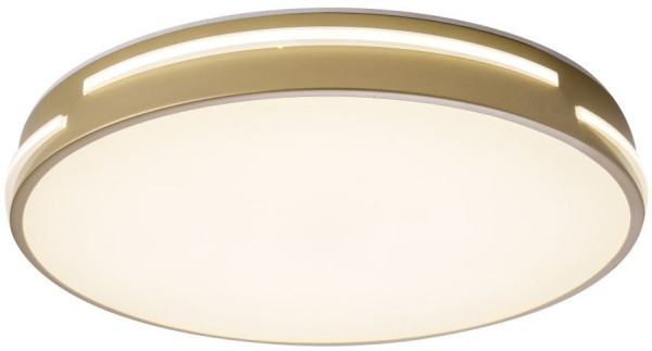 Потолочный светильник Gabby ZRS.90610.40 Zortes