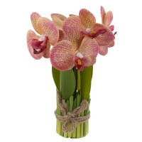 Цветочная композиция "Орхидея", L14 W14 H27 см