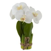 Цветочная композиция "Орхидея", L14 W14 H27 см