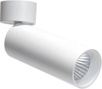 Спот Rollo DL18895R20W1W ST Donolux