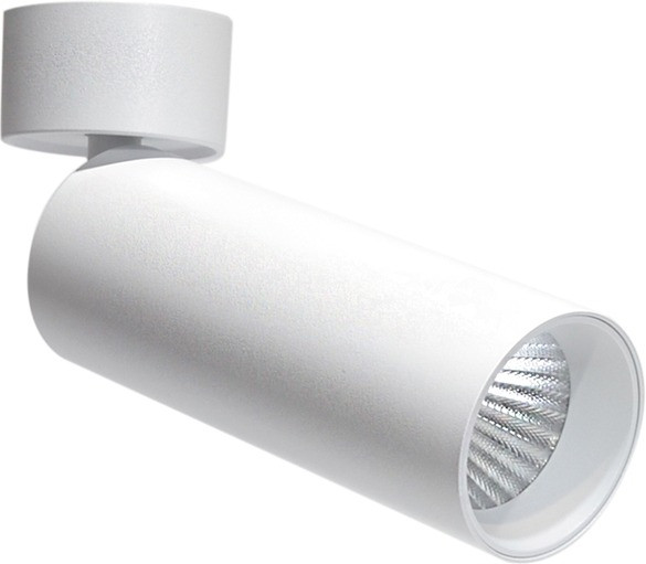 Спот Rollo DL18895R20W1W ST Donolux