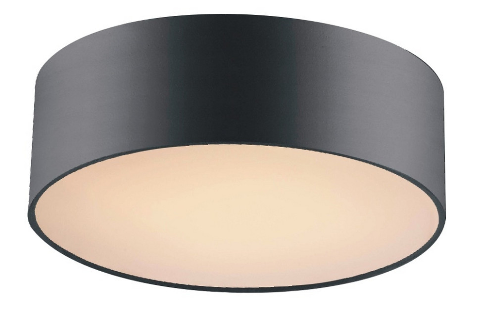 Потолочный светильник Cerchi 1514-2C Favourite