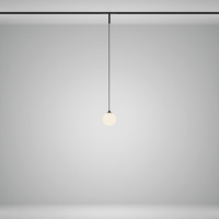 Трековый светильник Luna TR178-1-5WTW-B Maytoni