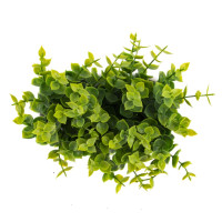 Цветочная композиция, L14 W7,5 H14 см