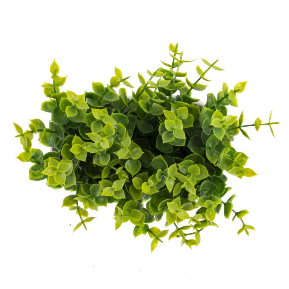 Цветочная композиция, L14 W7,5 H14 см