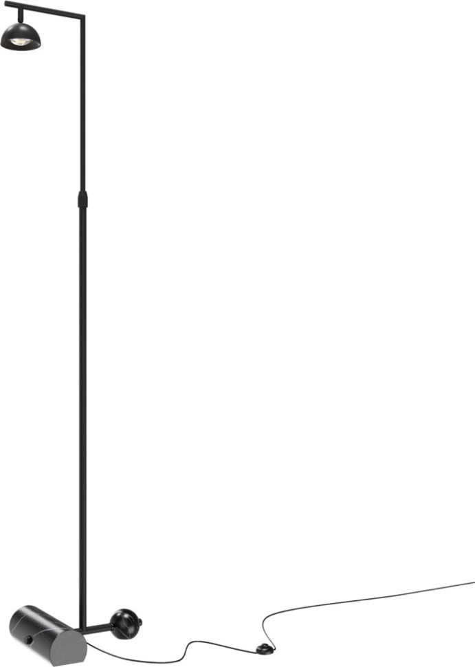 Торшер Pikant MOD372FL-L10B3K Maytoni