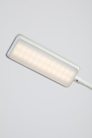 Офисная настольная лампа  NLED-499-10W-W ЭРА